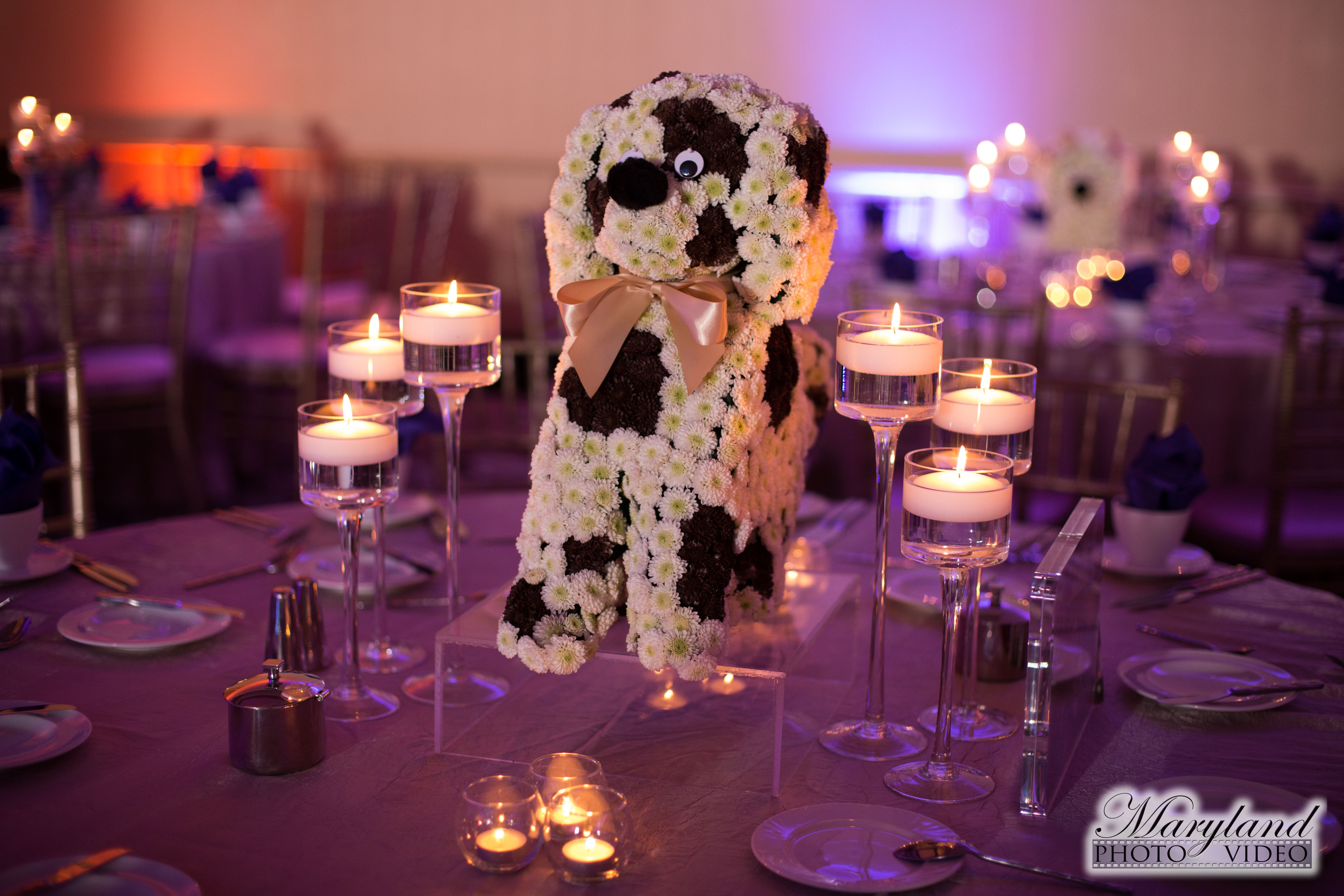 Floral dog centerpieces at Dog themed Bat Mitzvah Party at Westin Tysons Corner | Pop Color Events | Adding a Pop of Color to Bar & Bat Mitzvahs in DC, MD & VA | Photo by Maryland Photo/Video