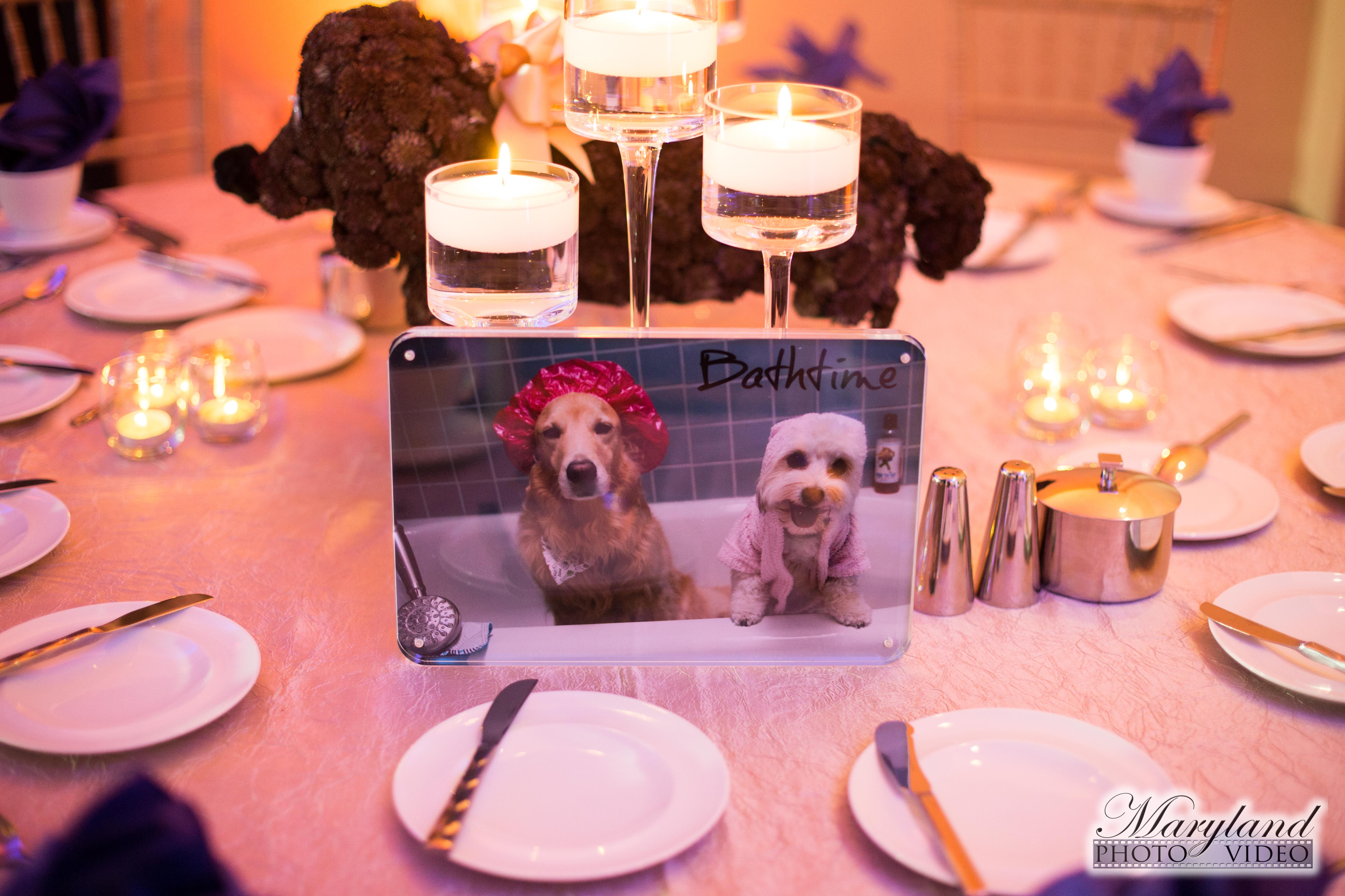 Table Number at Dog themed Bat Mitzvah Party at Westin Tysons Corner | Pop Color Events | Adding a Pop of Color to Bar & Bat Mitzvahs in DC, MD & VA | Photo by Maryland Photo/Video