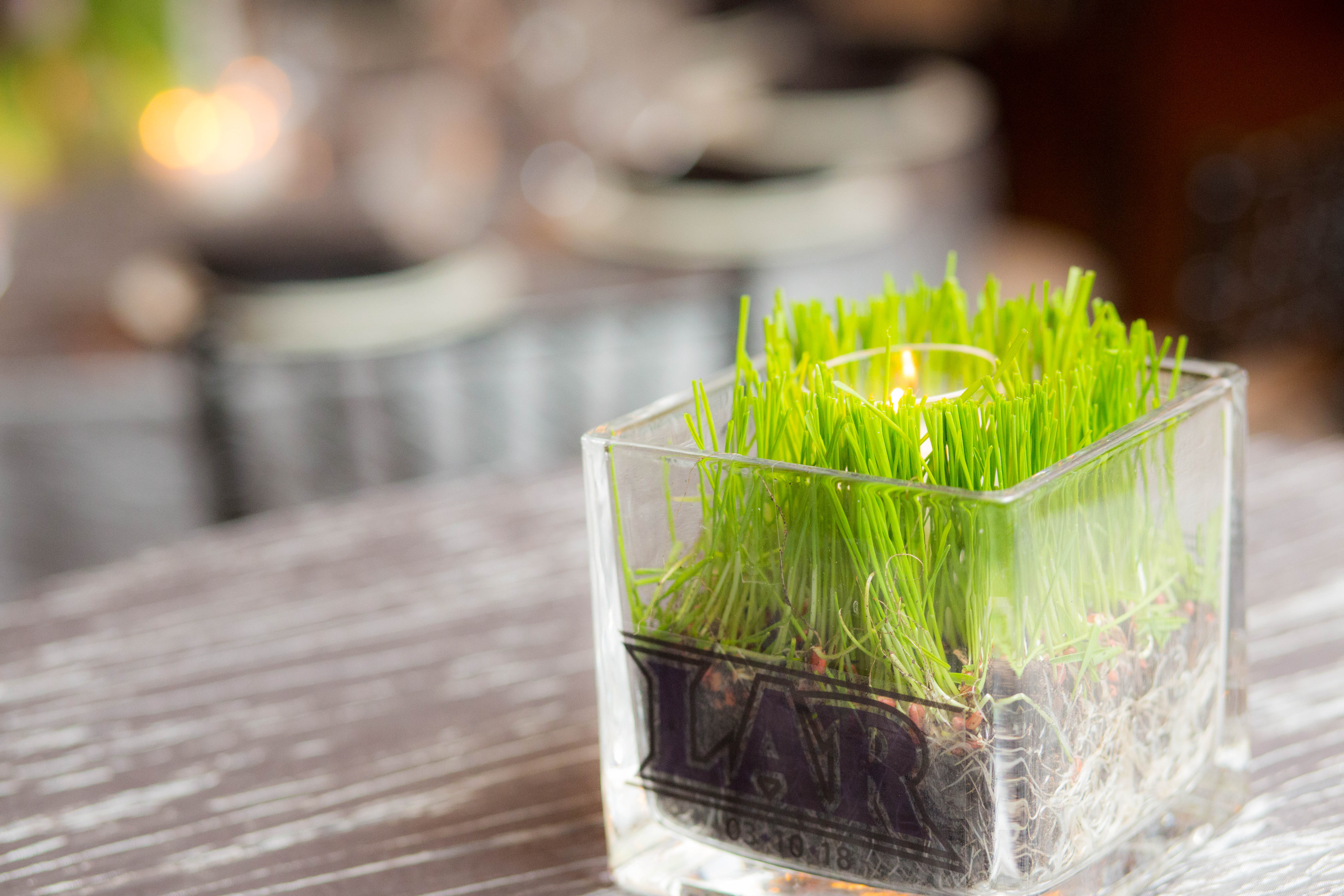 Grass Votive Holder | Pop Color Events | Adding a Pop of Color to Bar & Bat Mitzvahs in DC, MD & VA | Photo by Michael Temchine Photography
