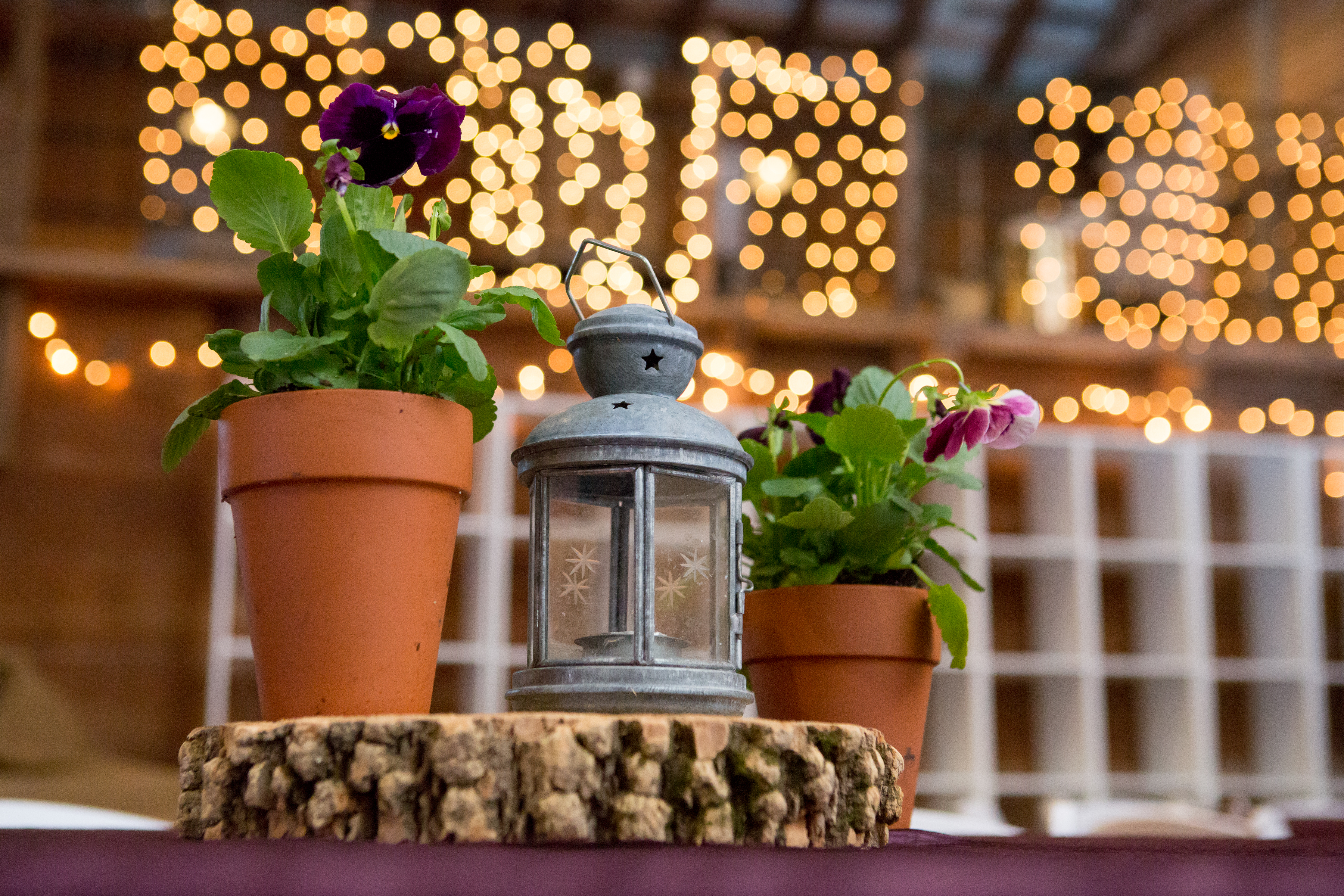 Potted floral centerpieces with lanterns and wood cuts at Maddie's Rustic Pink and purple Bat Mitzvah at Rocklands Farms in Poolsville, MD | Pop Color Events | Adding a Pop of Color to Bar & Bat Mitzvahs in DC, MD, and VA | Photo by Jessica Latos Photography
