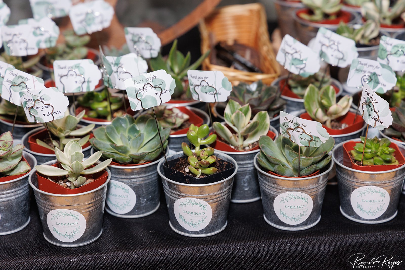 Succulent favors at  Sabrina's Enchanted Woodland-themed Bat Mitzvah Party at AC Hotel Bethesda Downtown | Pop Color Events | Adding a Pop of Color to Bar & Bat Mitzvahs in DC, MD & VA | Photo by: Ricardo Reyes
