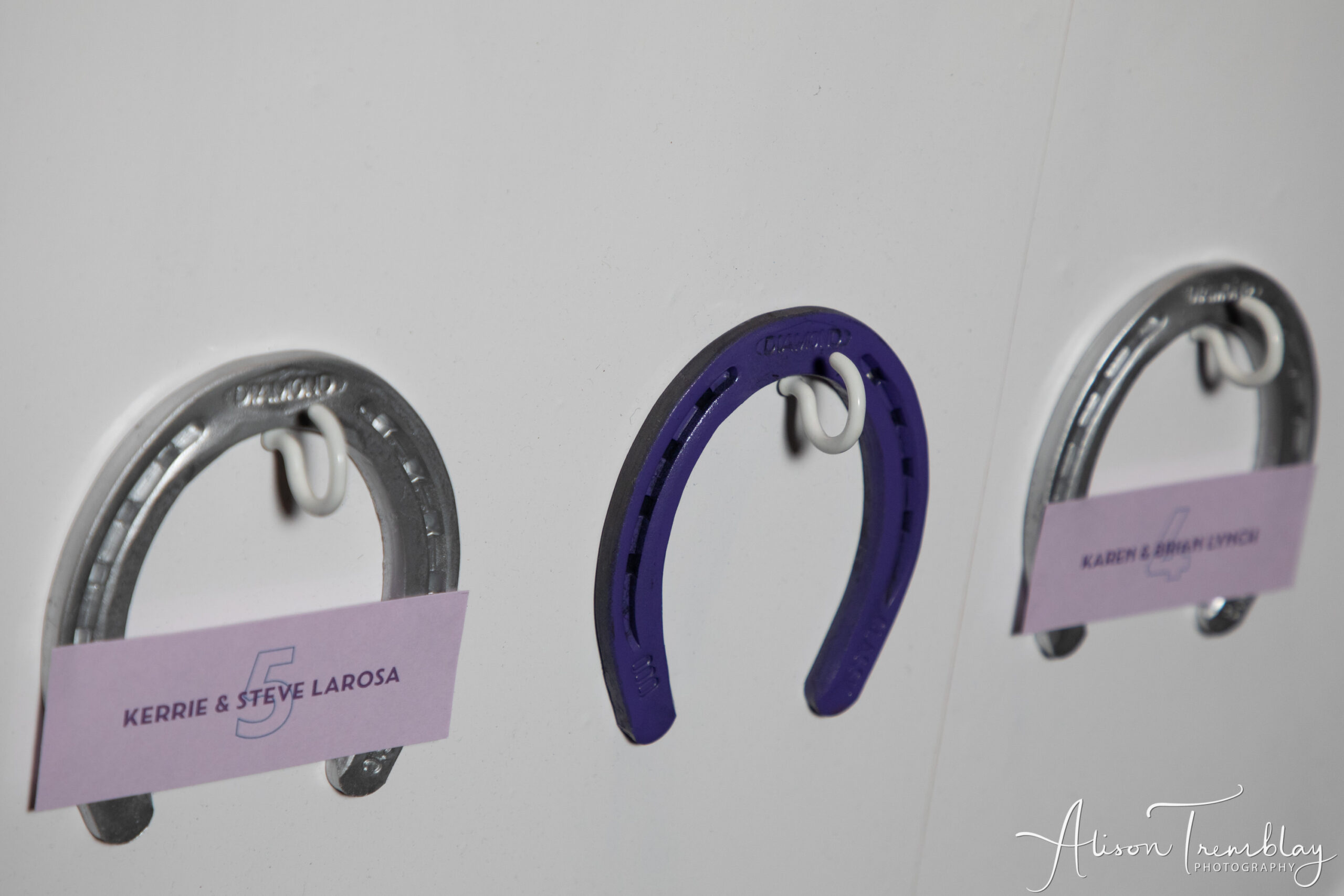 Horseshoe escort card close up